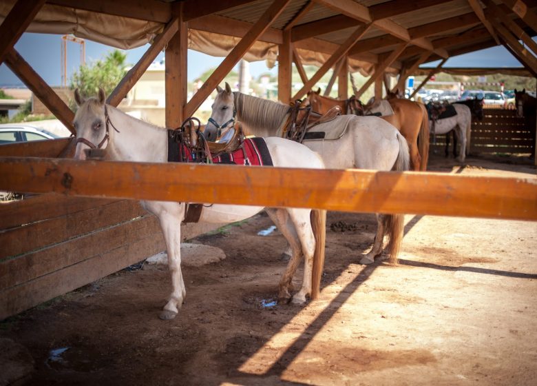 RANCH LE PETIT SAM