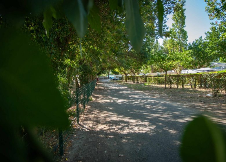 CAMPING LA GABINELLE