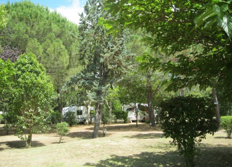 CAMPING LE REBAU