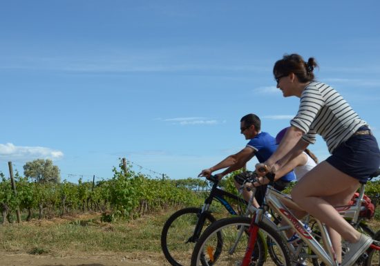 CIRCUIT LE TOUR DES VIGNOBLES- ESPACE VTT-FFC BÉZIERS MÉDTERRANÉE