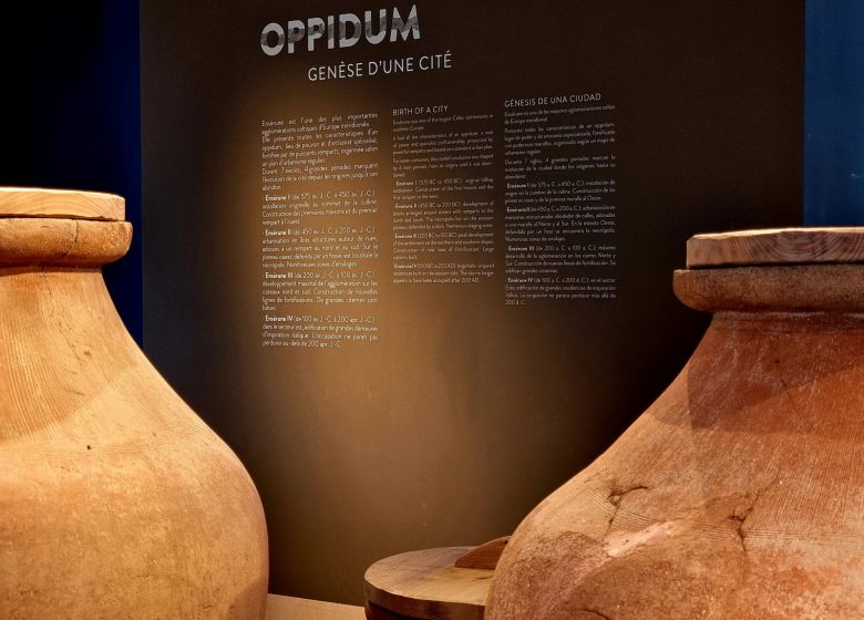 EMPLAZAMIENTO ARQUEOLÓGICO Y MUSEO DE ENSÉRUNE