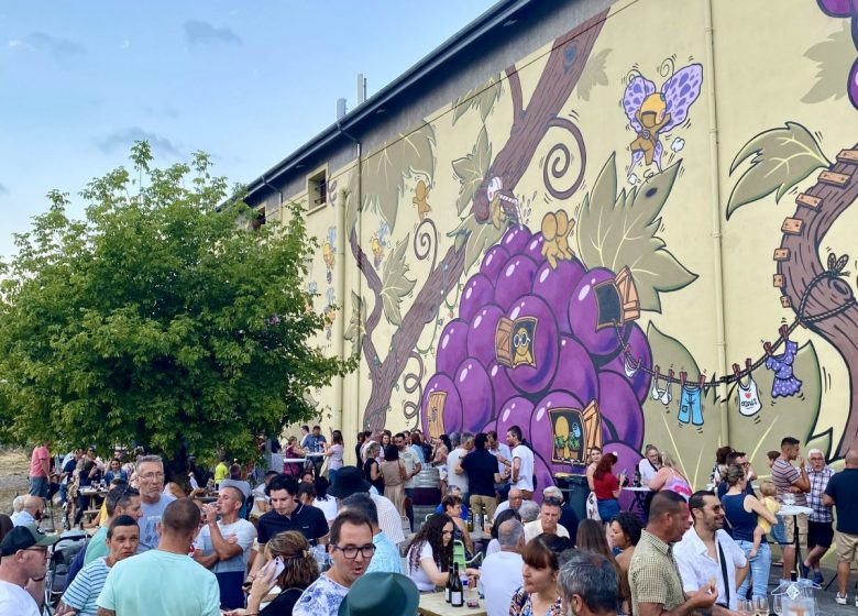 LES VIGNERONS DU PAYS D’ENSERUNE