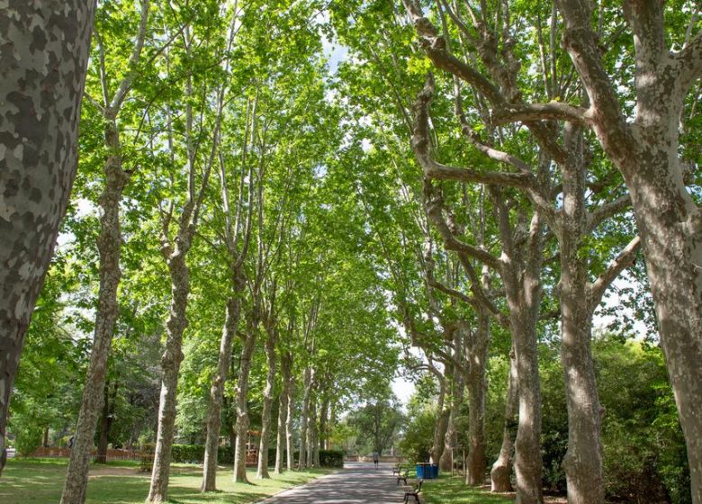 JARDÍN DE LA PLANTADE