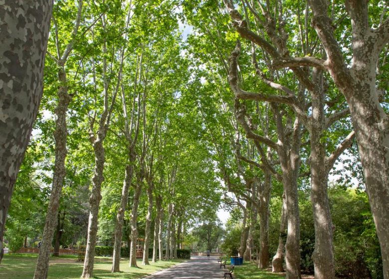 JARDÍN DE LA PLANTADE