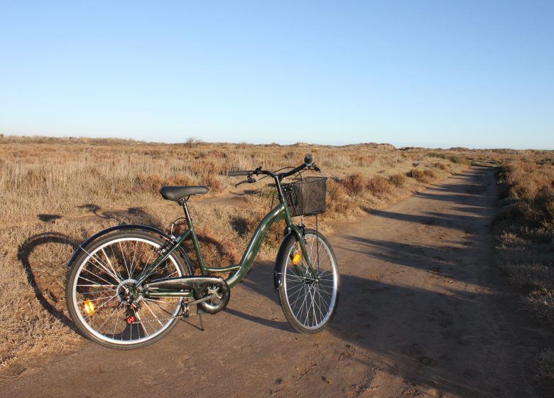 VÉLO VERT