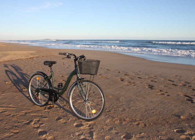 VÉLO VERT