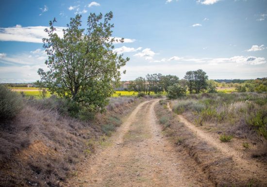 OENORANDO® LES HAUTS DE CORNEILHAN