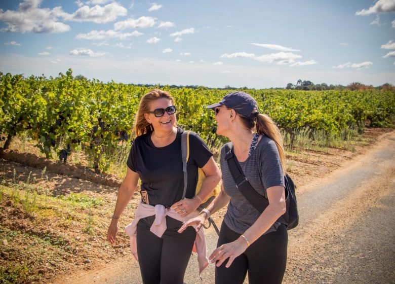 OENORANDO® LES HAUTS DE CORNEILHAN